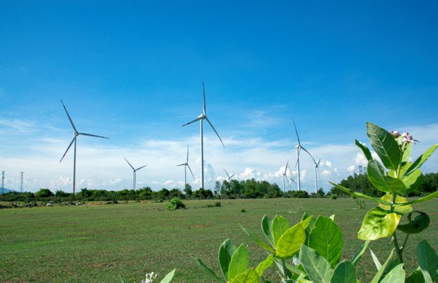 Trungnam Group inaugurates wind power plant No.5 in Ninh Thuận
